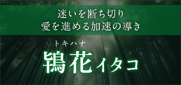 鴇花（トキハナ）イタコ